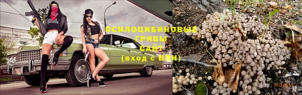 дживик Армянск