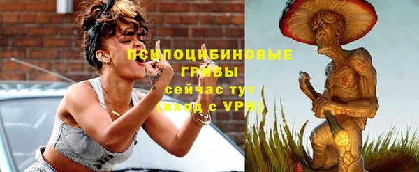 дживик Армянск