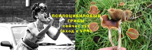 MDMA Premium VHQ Аркадак